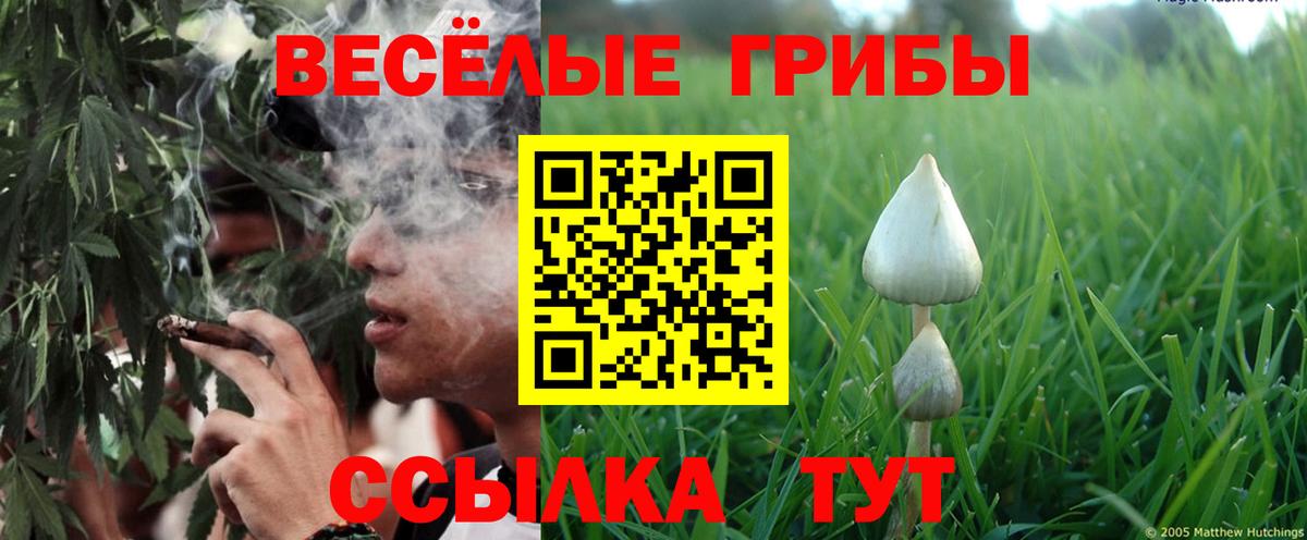 где купить   Псилоцибиновые грибы Psilocybe  Вход с VPN  Таганрог 